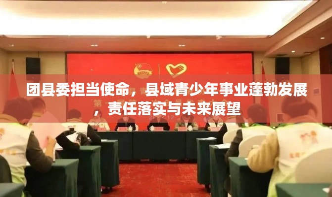 团县委担当使命,县域青少年事业蓬勃发展,责任落实与未来展望
