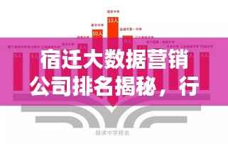 宿迁大数据营销公司排名揭秘，行业影响力与业务实力解析