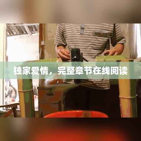 独家爱情，完整章节在线阅读