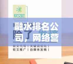 融水排名公司，网络营销新引擎，助力企业飞速提升排名