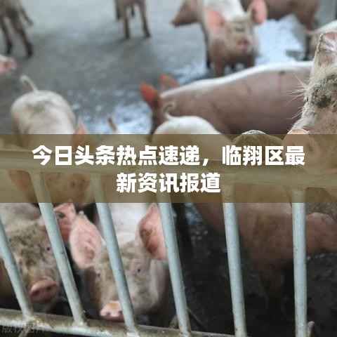 今日头条热点速递，临翔区最新资讯报道