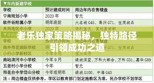 老乐独家策略揭秘，独特路径引领成功之道