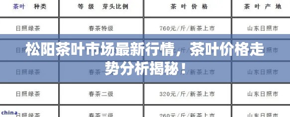 松阳茶叶市场最新行情，茶叶价格走势分析揭秘！