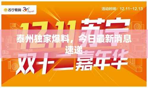 泰州独家爆料,今日最新消息速递