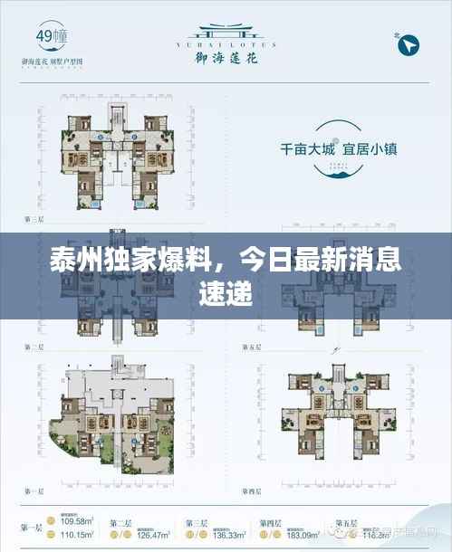 泰州独家爆料,今日最新消息速递