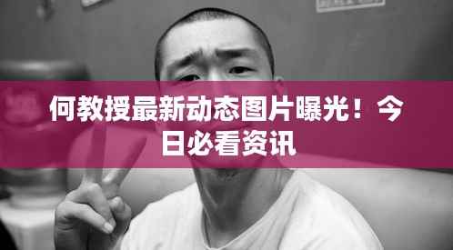 何教授最新动态图片曝光!今日必看资讯