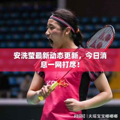 安洗莹最新动态更新，今日消息一网打尽！