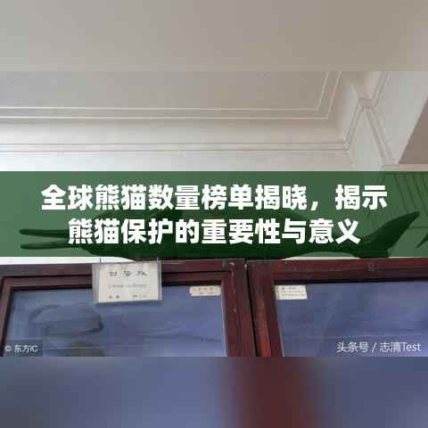 全球熊猫数量榜单揭晓,揭示熊猫保护的重要性与意义