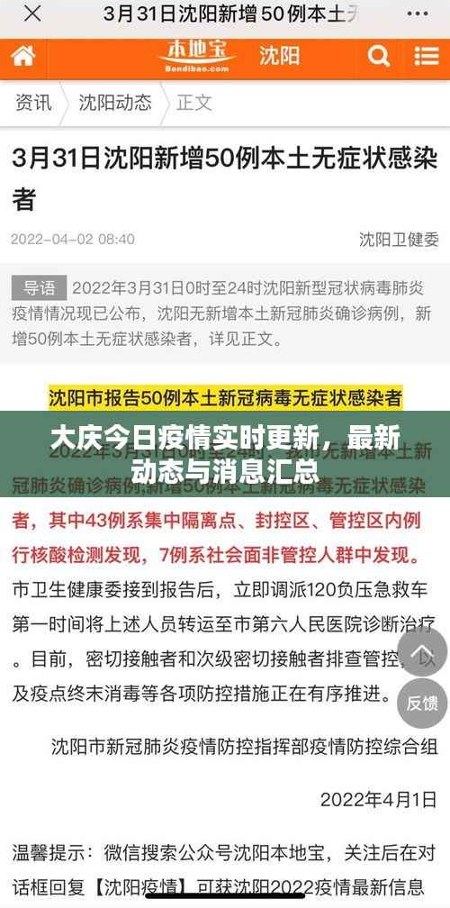 大庆今日疫情实时更新，最新动态与消息汇总