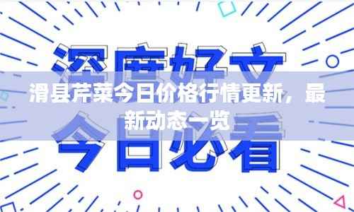滑县芹菜今日价格行情更新，最新动态一览