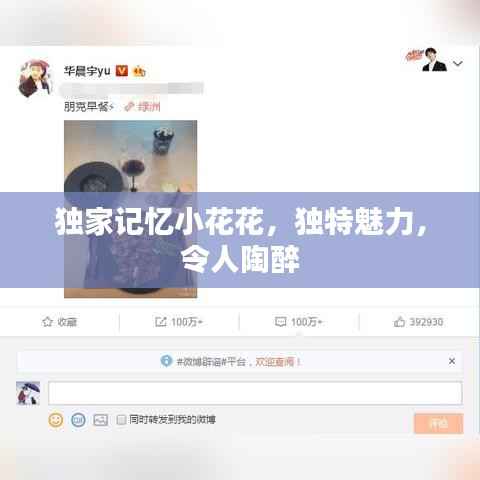 独家记忆小花花，独特魅力，令人陶醉