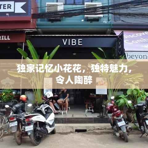 独家记忆小花花,独特魅力,令人陶醉
