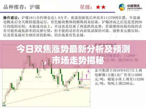 指李推张 第4页