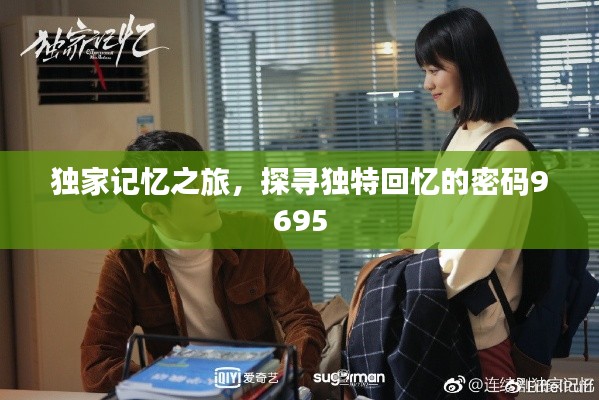 独家记忆之旅，探寻独特回忆的密码9695