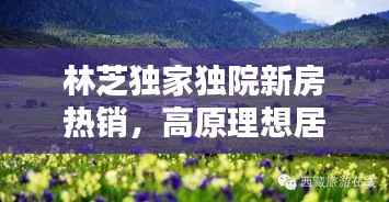 林芝独家独院新房热销，高原理想居所，静享自然之美