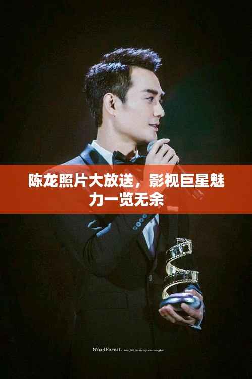 陈龙照片大放送，影视巨星魅力一览无余