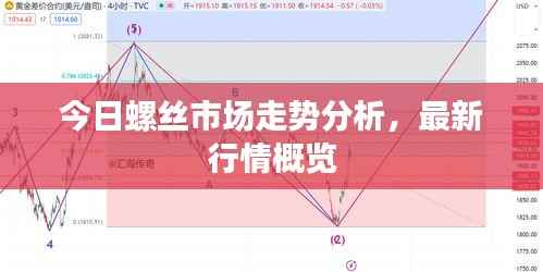 今日螺丝市场走势分析,最新行情概览