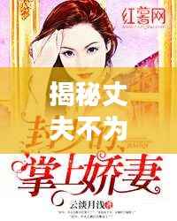 揭秘丈夫不为人知的秘密故事,一部引人入胜的小说