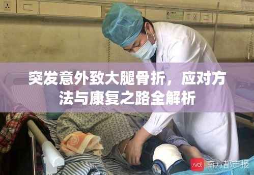 竭尽全力 第5页