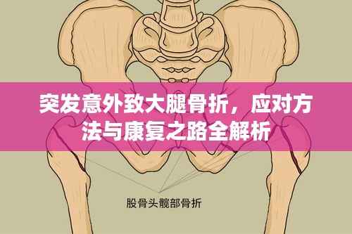 突发意外致大腿骨折,应对方法与康复之路全解析