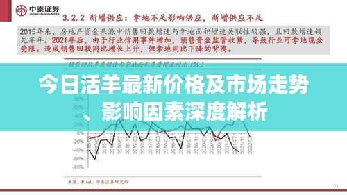 今日活羊最新价格及市场走势、影响因素深度解析