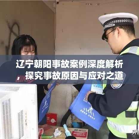 辽宁朝阳事故案例深度解析，探究事故原因与应对之道