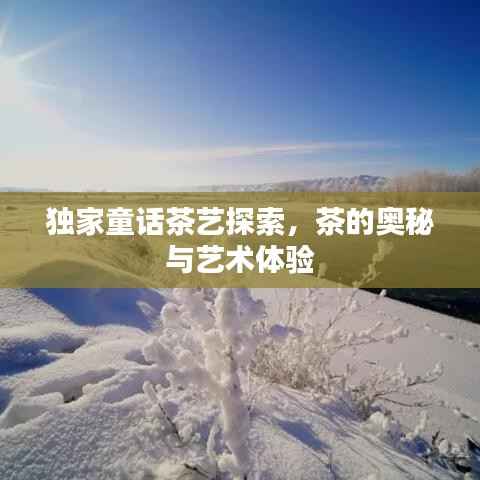 独家童话茶艺探索,茶的奥秘与艺术体验