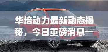 驾轻就熟 第4页