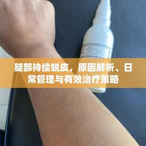 腿部持续蜕皮，原因解析、日常管理与有效治疗策略