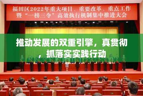 推动发展的双重引擎，真贯彻，抓落实实践行动
