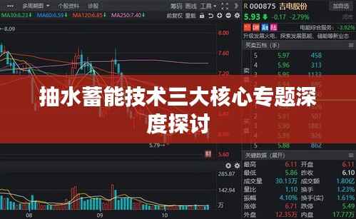 抽水蓄能技术三大核心专题深度探讨