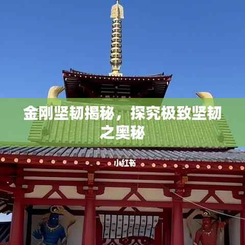 金刚坚韧揭秘，探究极致坚韧之奥秘