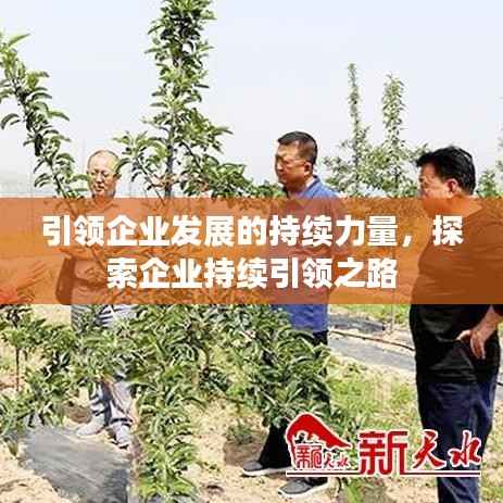 引领企业发展的持续力量,探索企业持续引领之路