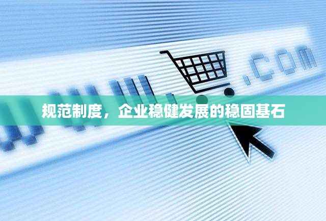 规范制度,企业稳健发展的稳固基石