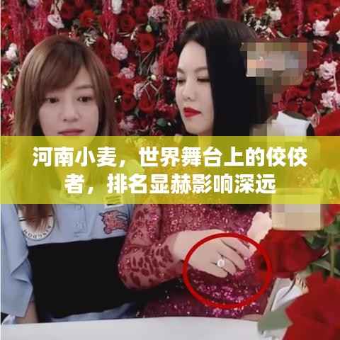 河南小麦,世界舞台上的佼佼者,排名显赫影响深远