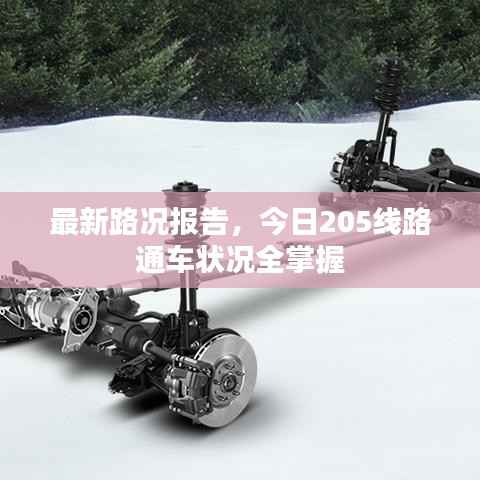 最新路况报告，今日205线路通车状况全掌握