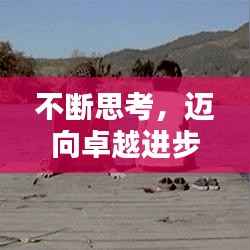 不断思考,迈向卓越进步之路