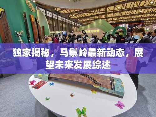 独家揭秘,马鬃岭最新动态,展望未来发展综述