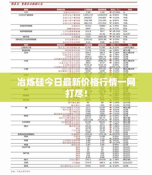 冶炼硅今日最新价格行情一网打尽！