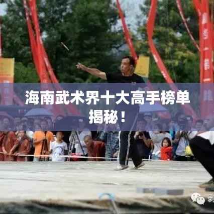 海南武术界十大高手榜单揭秘！