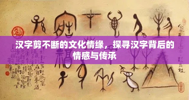 汉字剪不断的文化情缘,探寻汉字背后的情感与传承