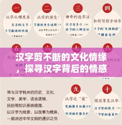 汉字剪不断的文化情缘,探寻汉字背后的情感与传承