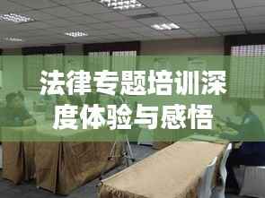 法律专题培训深度体验与感悟