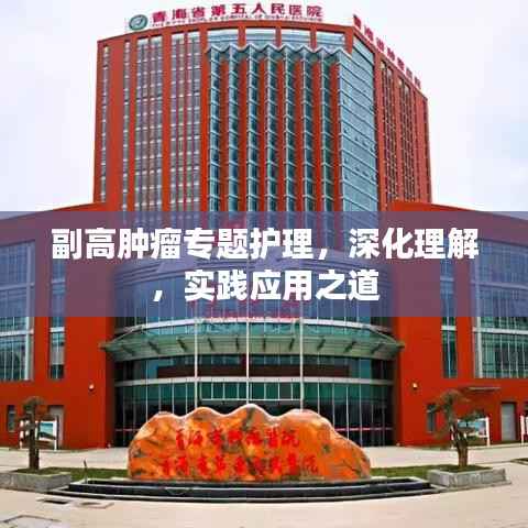 副高肿瘤专题护理,深化理解,实践应用之道