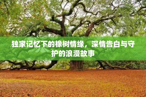 独家记忆下的橡树情缘,深情告白与守护的浪漫故事