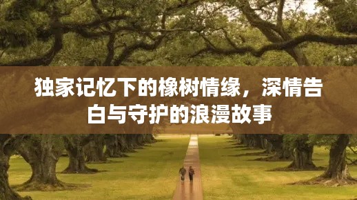 独家记忆下的橡树情缘,深情告白与守护的浪漫故事