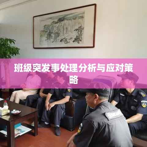 班级突发事处理分析与应对策略