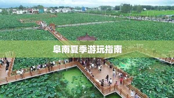 十年磨剑 第4页