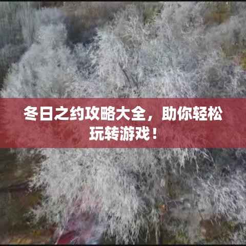 冬日之约攻略大全,助你轻松玩转游戏!