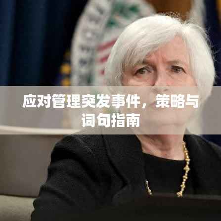 应对管理突发事件,策略与词句指南